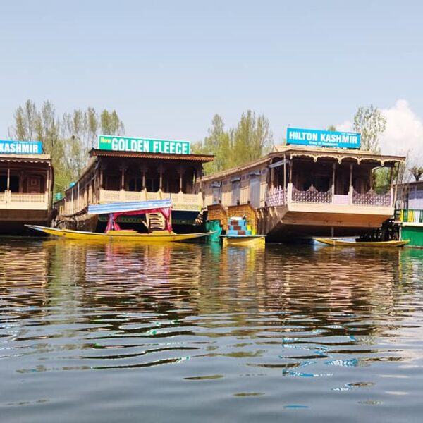 kashmir tour package from kolkata tripadvisor